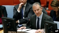 美国常驻联合国副代表科恩(Jonathan Cohen)在安理会发言 ( 2019年1月22日).