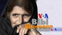 بي بي شیرینه – وي او اې ډيوه په ټیلې ویژن بي بي شیرینه – وي او اې ډيوه په ټیلې ویژن