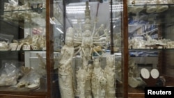 象牙制品(资料图片)