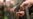 Colombia Authorizes Air Raids Against Dissident FARC, Crime Gangs