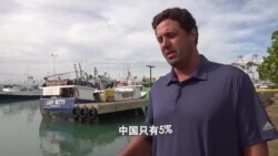 夏威夷渔民对中国扩大捕鱼活动表示担忧 夏威夷渔民对中国扩大捕鱼活动表示担忧