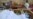 16x9 Image