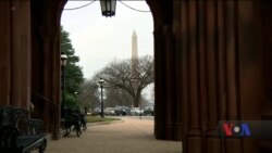 Тимчасове закриття уряду США: день 21-й. Відео Тимчасове закриття уряду США: день 21-й. Відео