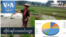 တိုင်းရင်းသတင်းလွှာ