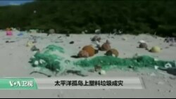 VOA连线: 太平洋孤岛上塑料垃圾成灾 VOA连线: 太平洋孤岛上塑料垃圾成灾