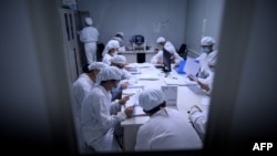 中国辽宁省沈阳市的依生生物制药公司正在研制新冠病毒疫苗。(2020年6月10日)