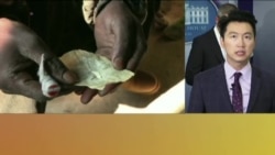 VOA连线:川普要处理阿片类毒品,呼吁对朝鲜强硬 VOA连线:川普要处理阿片类毒品,呼吁对朝鲜强硬
