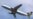 Lufthansa yêu cầu tòa ra lệnh chấm dứt cuộc đình công của phi công