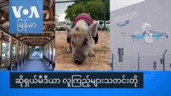 ဆိုရှယ်မီဒီယာ လူကြည့်များသတင်းတို
 ဆိုရှယ်မီဒီယာ လူကြည့်များသတင်းတို