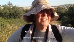 耶路撒冷自然公园野生动物与居民共处 耶路撒冷自然公园野生动物与居民共处