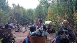 ဆယ်စုနှစ်နဲ့ကြာ မျှော်လင့်ချက်မဲ့ဒုက္ခသည်များ(ဒုက္ခသည်နေ့အထူးသတင်းဆောင်းပါး) ဆယ်စုနှစ်နဲ့ကြာ မျှော်လင့်ချက်မဲ့ဒုက္ခသည်များ(ဒုက္ခသည်နေ့အထူးသတင်းဆောင်းပါး)