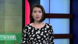 VOA连线:加州大火重创葡萄酒产地 VOA连线:加州大火重创葡萄酒产地