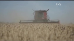Ось чому в Україні можна очікувати інвестиційного буму. Відео Ось чому в Україні можна очікувати інвестиційного буму. Відео
