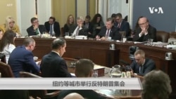 纽约等城市举行反特朗普集会 纽约等城市举行反特朗普集会