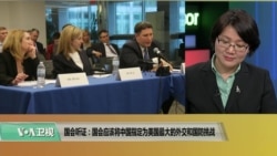 时事看台(斯洋):听证:国会应将中国指定为美国最大的外交和国防挑战 时事看台(斯洋):听证:国会应将中国指定为美国最大的外交和国防挑战