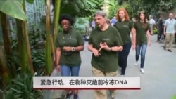 紧急行动:在物种灭绝前冷冻DNA 紧急行动:在物种灭绝前冷冻DNA