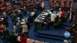 Палата Представників Конгресу США формально передає у понеділок в Сенат документи щодо імпічменту Дональду Трампу. Відео Палата Представників Конгресу США формально передає у понеділок в Сенат документи щодо імпічменту Дональду Трампу. Відео