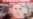 Europe Presses Ukraine Leader on Tymoshenko Deal