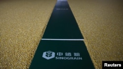 中储粮在河北保定附近储备设施储藏的玉米。(2019年7月8日)
