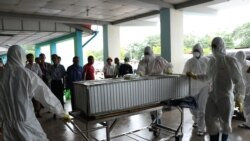 A-H1N1 တုပ်ကွေးကြောင့် သေဆုံးသူ ၉ ဦးအထိရှိ A-H1N1 တုပ်ကွေးကြောင့် သေဆုံးသူ ၉ ဦးအထိရှိ