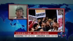 时事大家谈:太阳花退场不退潮,民主黑潮冲击蓝绿 时事大家谈:太阳花退场不退潮,民主黑潮冲击蓝绿