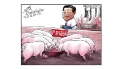 火墙内外:“吃饭砸锅论”吓不倒挺占中艺人 火墙内外:“吃饭砸锅论”吓不倒挺占中艺人
