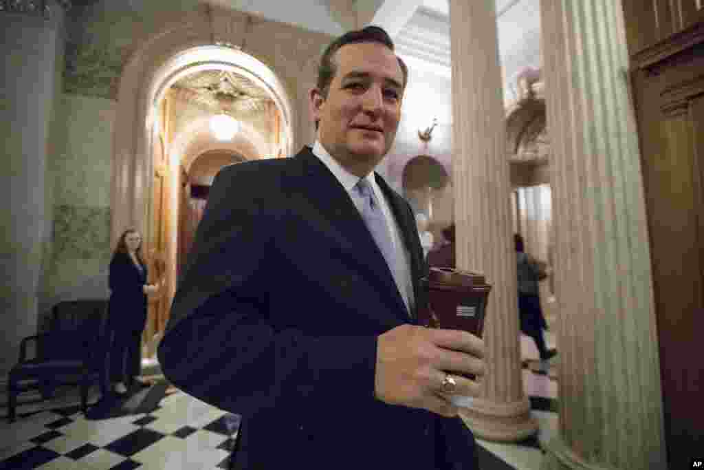 美国参议员克鲁兹(Ted Cruz)离开参议院议事厅(2017年2月3日) 。克鲁兹和莱希(Patrick Leahy)参议员联名致信苹果公司的库克,质疑苹果公司下架VPN的决策。VPN的全称是虚拟私人网络,可以改变并加密用户的互联网接入地址。在防火长城高耸的中国,网民以此来绕开互联网封锁,俗称“翻墙”。这两名美国参议员说,防火长城对中国人民的威胁不亚于28年前柏林墙对东德人民的威胁,只要防火长城在,并获得美国技术公司的支持,中国的互联网自由就处于风险中。而苹果公司回应说,苹果公司在中国的存在“有助于促进更大程度的开放,推动思想和信息的自由流动”。“我们深信,让苹果公司能最好地推动基本权益, 包括言论自由权的方式就是参与,尽管我们可能不同意某些国家的法律。”  