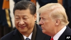 美国总统特朗普和中国国家主席习近平在北京人大会堂参加一个欢迎仪式。(2017年11月9日)