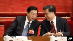 张德江(左)和广东省委书记汪洋2012年3月8日在人大会议上
