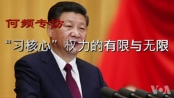 何频专访:“习核心”权力的有限与无限 何频专访:“习核心”权力的有限与无限