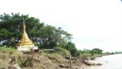 သဘာဝဘေး ကာကွယ်ရေးမှာ အသုံးဝင်တဲ့ ဗက်တီဗာမြက် သဘာဝဘေး ကာကွယ်ရေးမှာ အသုံးဝင်တဲ့ ဗက်တီဗာမြက်
