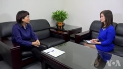 专访台湾国民党副总统候选人王如玄 专访台湾国民党副总统候选人王如玄