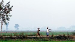 မြန်မာ့စီးပွားရေး IMF တွေ့ရှိချက်ပေါ် သုံးသပ်ချက် အပိုင်း (၂) မြန်မာ့စီးပွားရေး IMF တွေ့ရှိချက်ပေါ် သုံးသပ်ချက် အပိုင်း (၂)