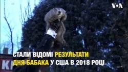День Бабака: Американський бабак Філ прогнозує ще 6 тижнів зими. Відео День Бабака: Американський бабак Філ прогнозує ще 6 тижнів зими. Відео