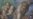 16x9 Image