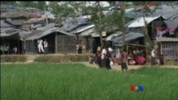 ဘင်္ဂလာဒေ့ရှ်ဒုက္ခသည်စခန်း ကာလဝမ်းရောဂါကာကွယ်ရေး အစီအစဉ် ဘင်္ဂလာဒေ့ရှ်ဒုက္ခသည်စခန်း ကာလဝမ်းရောဂါကာကွယ်ရေး အစီအစဉ်