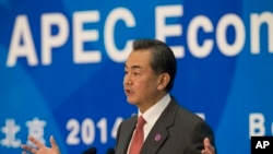 中国外长王毅在APEC会议的记者会上(2014年11月8日)。