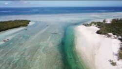 海洋塑料垃圾泛滥 威胁生态清理困难 海洋塑料垃圾泛滥 威胁生态清理困难