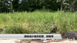 绿地减少城市犯罪、抑郁率 绿地减少城市犯罪、抑郁率