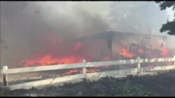 加州当局敦促数万居民躲避野火弃家逃生 加州当局敦促数万居民躲避野火弃家逃生
