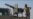 16x9 Image