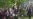 16x9 Image