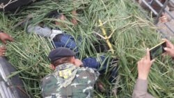 မြက်တွေအုပ်ပြီးခိုးဝင်လာတဲ့မြန်မာ ၅ ဦး ထိုင်းရဲ ဖမ်းဆီး မြက်တွေအုပ်ပြီးခိုးဝင်လာတဲ့မြန်မာ ၅ ဦး ထိုင်းရဲ ဖမ်းဆီး