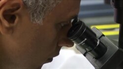 将胎儿组织用于医学研究的争议 将胎儿组织用于医学研究的争议