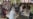 16x9 Image