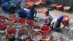 ရွှေ့ပြောင်းအလုပ်သမားတွေအတွက် ထိုင်းအစိုးရ အထောက်အထားလက်မှတ် ထုတ်ပေးမည်  ရွှေ့ပြောင်းအလုပ်သမားတွေအတွက် ထိုင်းအစိုးရ အထောက်အထားလက်မှတ် ထုတ်ပေးမည်