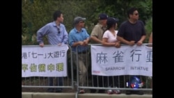 麻雀护巢行动 在美抗议中国强拆 麻雀护巢行动 在美抗议中国强拆