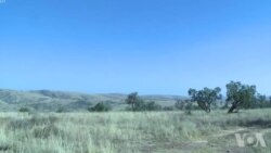 美国:无偿征地或使南非误入歧途 美国:无偿征地或使南非误入歧途