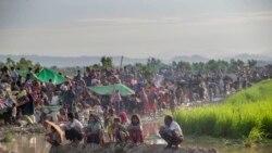 ရိုဟင်ဂျာဒုက္ခသည်တွေ ထွက်ပြေးမှု ကုလနှင့် HRW တုံ့ပြန် ရိုဟင်ဂျာဒုက္ခသည်တွေ ထွက်ပြေးမှု ကုလနှင့် HRW တုံ့ပြန်