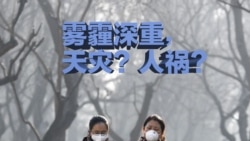 焦点对话: 回顾2016: 雾霾深重,天灾还是人祸? 焦点对话: 回顾2016: 雾霾深重,天灾还是人祸?